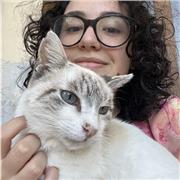 Studentessa universitaria di filosofia si offre per aiuto compiti per elementari e medie